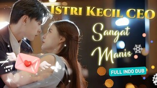 Nikah diam-diam dengan CEO, setelah merasakan cinta manis, dia tergila-gila pada istrinya!