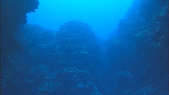2005 Secret Blue