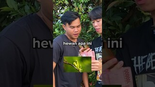 TEBAK NAMA HEWAN DAPAT UANG 100 RIBU ??? #viral #shorts