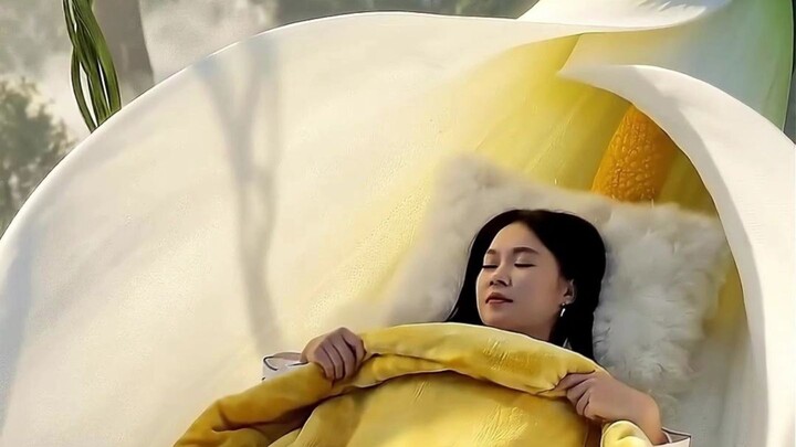 Claim your 12-zodiac-flower-themed exclusive overnight bed