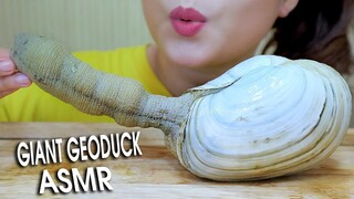 ASMR Mukbang eating Giant geoduck Part 02 , Chewy Crunchy eating sound 먹방 | LINH-ASMR