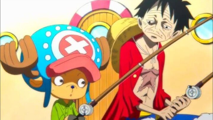 Momen Momen Kocak Luffy Dan Chopper😂
