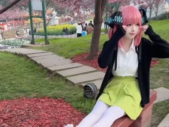 التوائم الخمسة المثالية