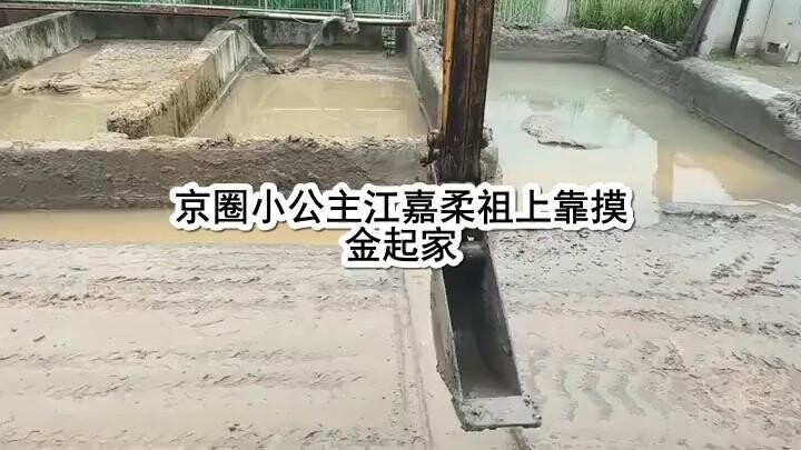 6.12和替婚养子结婚后，京圈小公主悔疯了.mp4