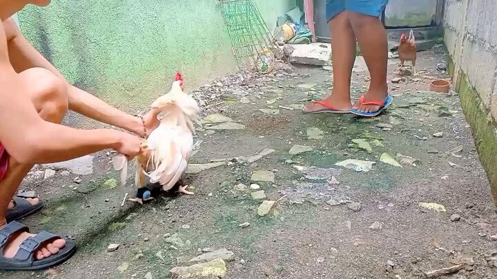 Pwede nnaman🙂
