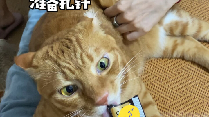 أمي تقرصنني بالإبر، لكن كل ما أهتم به هو الأكل والأكل والأكل!