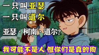 [Conan Zero-Nine] Conan trở thành vua lý trí trong thế giới loài chó, một tên Arthur, một tên Doyle,