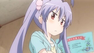 This kind of lotus is so reassuring