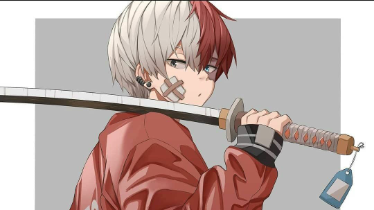 todoroki edit