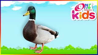 🦆 Đàn Vịt Xiêm 🦆 Con Gà Trống 🦆 Nhạc Thiếu Nhi Remix Cho Bé Học Con Vật 🦆 Vịt Con Cạp Cạp