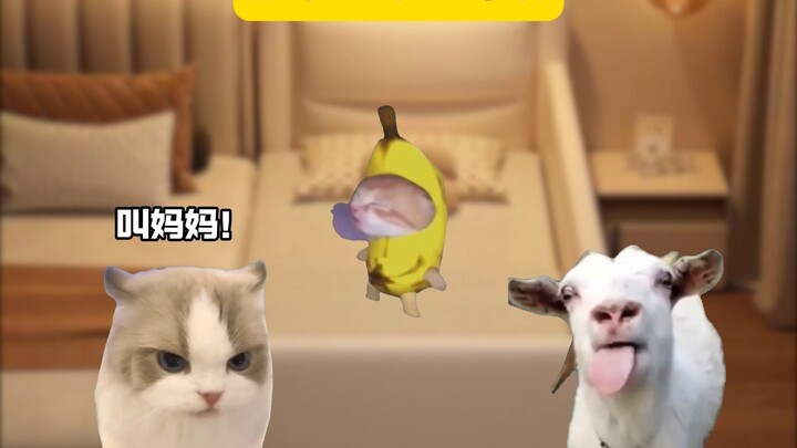 A Child's First Words