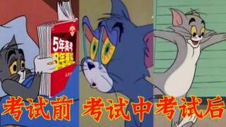 真实！用猫和老鼠打开期末考试