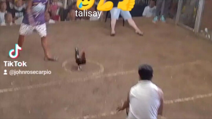 talisay lang magaling