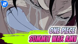 One Piece Summit War AMV_2