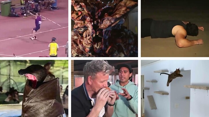 She cried sadly all night [Electronic potato chips set]