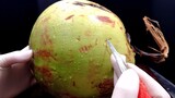 A coconut has a hard core, but Master San Mao's carving skills are even more "hardcore"