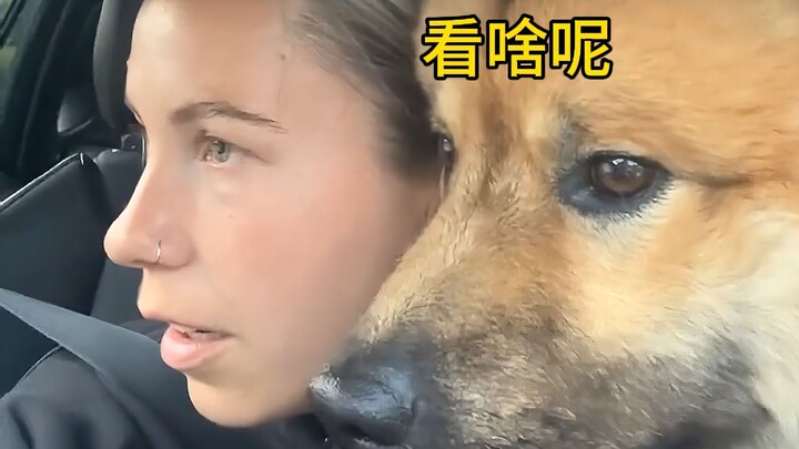 Kalau pelihara hewan peliharaan dalam waktu lama, mereka bakal semakin mirip sama tuannya!