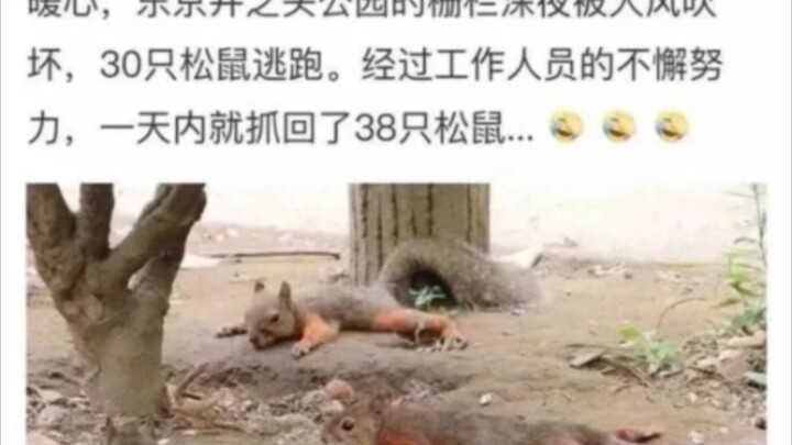 تم القبض على 38 منها، ولا يزال 24 هاربًا.