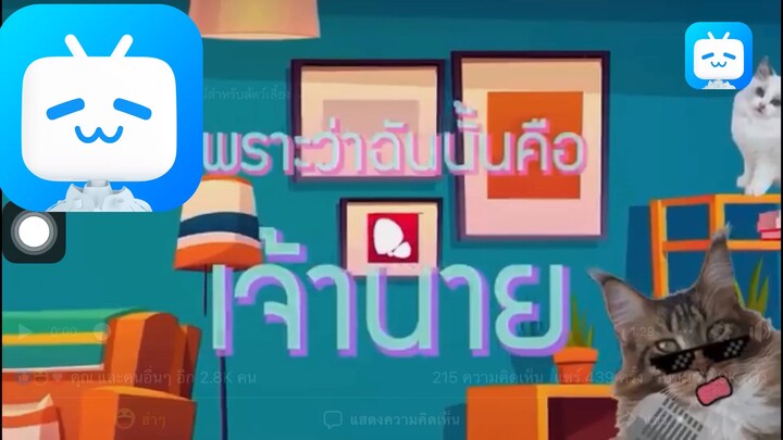 เพลงเเมวคือทาส