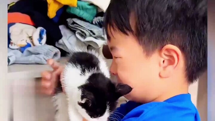 Câu chuyện về chiếc khăn lau nhỏ, khi một đứa trẻ nghịch ngợm có được một chú mèo con thì sẽ dịu dàn
