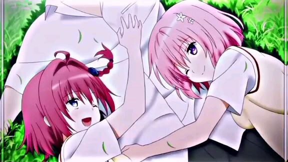 Anh đây có nguyên đàn harem luôn