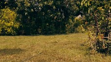 Dora And The Search For Sol Dorado (2025)