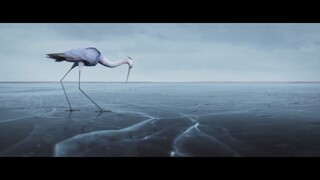 It is called "the best student animated short film of the year". Is it really that powerful?