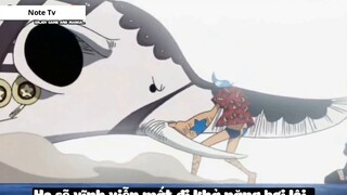 Top 8 Người Vô Tình _Ăn_ Trái Ác Quỷ trong One Piece #18- 4