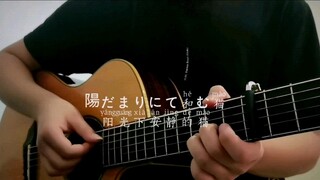 Chú mèo lặng lẽ dưới nắng với guitar fingerstyle