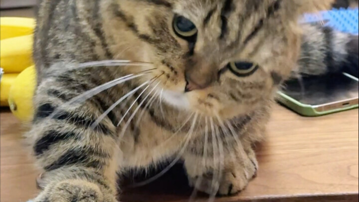 لم يشكّ أحد كما شكّ هو في نفسه أبدًا.