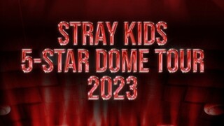 Stray Kids '5-STAR' Dome Tour In Nagoya (2023)