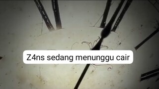menunggu cair