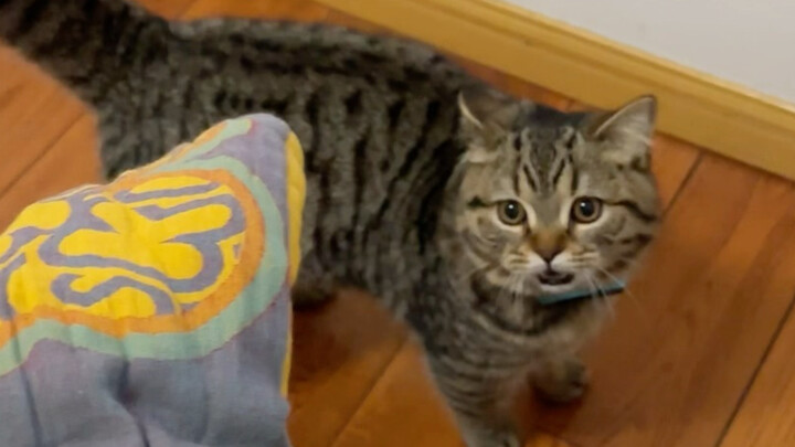 Terus-menerus terjebak dalam kesalahan yang sama