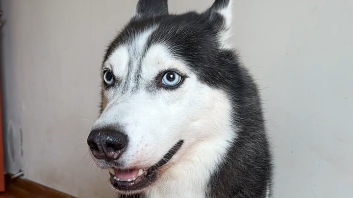 Kerou is coming to Shanghai!～