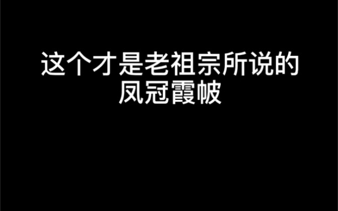 I won’t let myself, as a bride, remain ignorant about what a real phoenix crown and embroidered robe