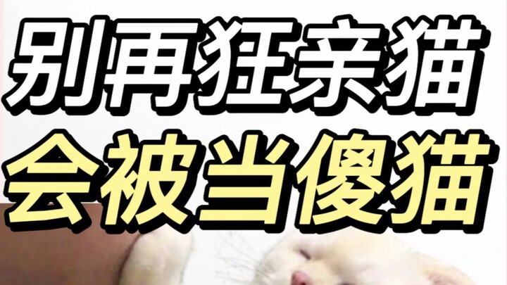 القطة تحتاج إلى يوم كامل لتشفى من الأذى الذي سببته لها قبلاتك.