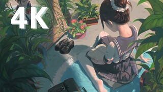 【𝟒𝐊 𝟔𝟎𝐅𝐏𝐒】真 4K！b站画质巅峰，你的手机是否hold住呢~