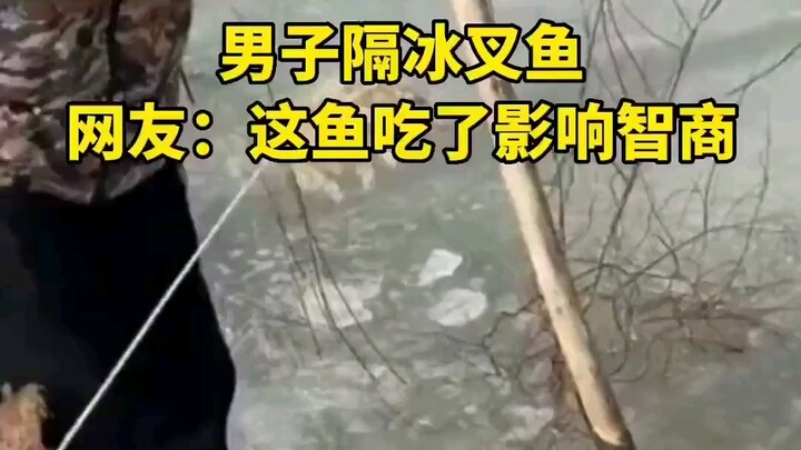 Does eating this fish affect IQ?