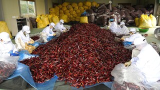 한국에서 가장 유명한 고추짬뽕! 160개 매장 / making the most famous spicy noodles - korean street food
