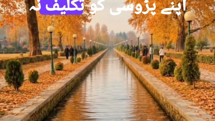 kabi kisi ka dil na dukhain..#allah #quran #viral #bilibili
