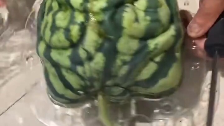 The most successful case of altering plant shapes has emerged.