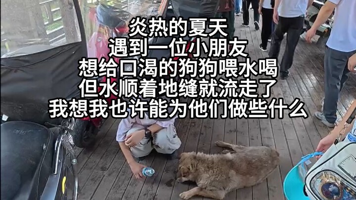 Anjing tidak akan pernah melupakan orang yang baik padanya.