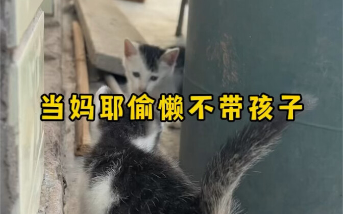 Oh my, you're slacking off again and not taking care of the kids—this needs to be dealt with properl