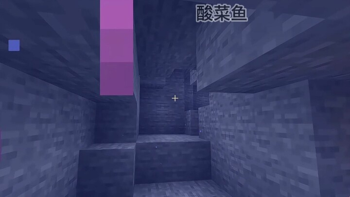 Thanks for saving my dog’s life! #Minecraft #MC #MCPickledFishSoup