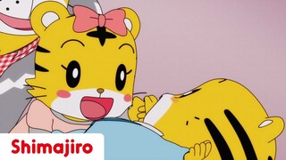 Hannah and the Baby 🐯 | Family | 24 Minute Compilation | Kids video for Kids | Shimajiro