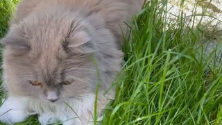 I feed my little mouse every day, but it turns out it’s because…