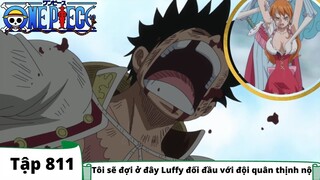 One Piece Tập 811 | Tôi sẽ đợi ở đây Luffy đối đầu với đội quân thịnh nộ | Đảo Hải Tặc Tóm Tắt Nhanh