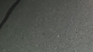 大猫叼小猫过马路放在路中间，我以为是个蛤蟆开车跨过去，不放心怕没跨好是不是被我压死了调头回去看，还趴在那，小东西脾气还大