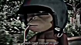 monyet nya udah besar tuh