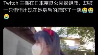 音量有点小，记得调大了看